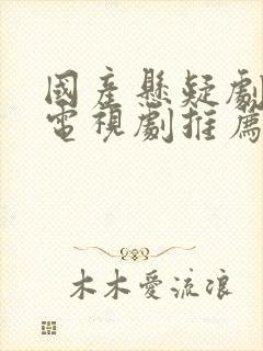 国产悬疑剧破案电视剧推荐