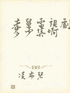 老舅电视剧一共多少集啊