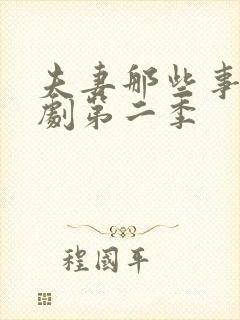 夫妻那些事电视剧第二季