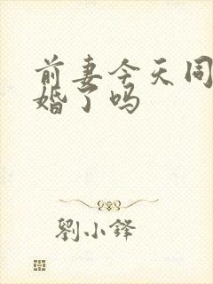 前妻今天同意复婚了吗