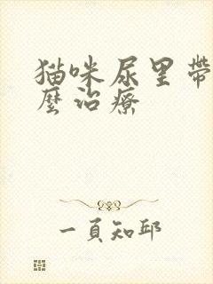 猫咪尿里带血怎么治疗封面