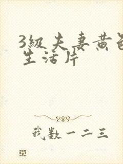 3级夫妻黄色性生活片