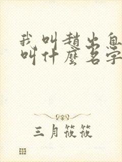 我叫赵出息插曲叫什么名字来着封面