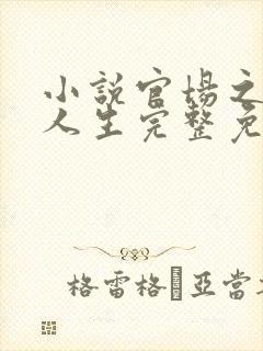 小说官场之风流人生完整免费阅读封面