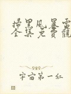 扫黑风暴电视剧全集免费观看完整版