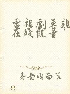 电视剧单亲妈妈在线观看