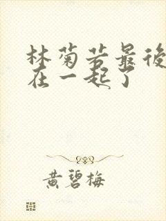 林菊若最后和谁在一起了