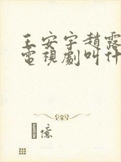 王安宇赵露思的电视剧叫什么