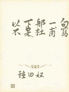 以下那一句诗,不是杜甫写的?