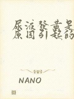 尿液发黄是什么原因引起的