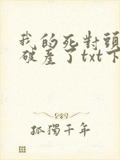 我的死对头终于破产了txt下载