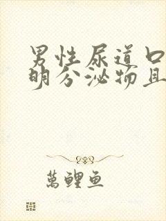 男性尿道口有透明分泌物且拉丝