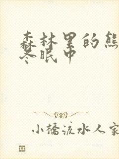 森林里的熊先生冬眠中封面