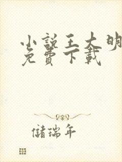 小说王大明萧红免费下载