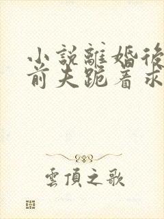 小说离婚后禁欲前夫跪着求复合傅淮舟在线封面