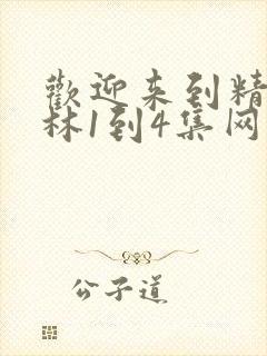 欢迎来到精灵森林1到4集网盘