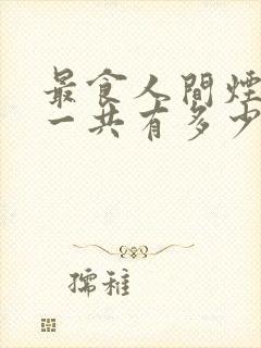 最食人间烟火色一共有多少集?