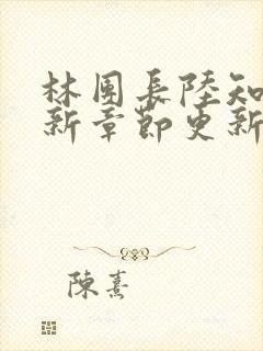 林团长陆知青最新章节更新内容封面