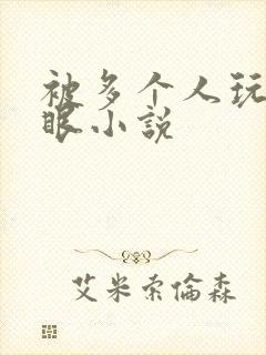 被多个人玩屁股眼小说封面