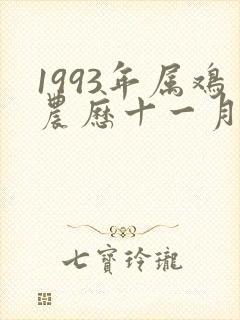 1993年属鸡农历十一月的一生命运