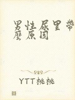 男性尿里带血什么原因