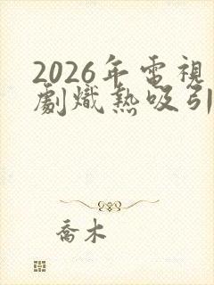 2026年电视剧炽热吸引电视剧全集免费封面