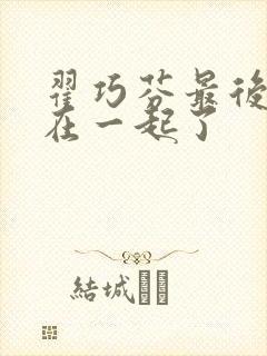 翟巧芬最后和谁在一起了封面