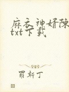 麻衣神婿陈黄皮txt下载