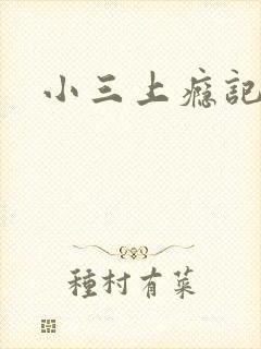 小三上瘾记