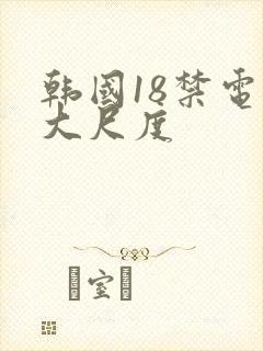 韩国18禁电影大尺度