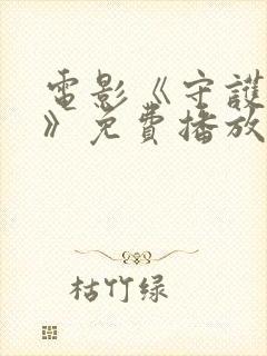 电影《守护者2》免费播放