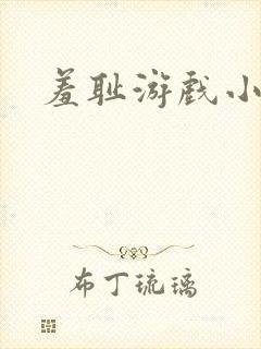 羞耻游戏小说封面