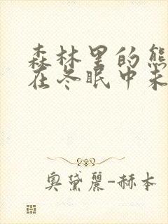 森林里的熊先生在冬眠中未增