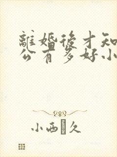 离婚后才知道老公有多好小说