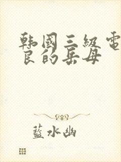 韩国三级电影善良的岳母