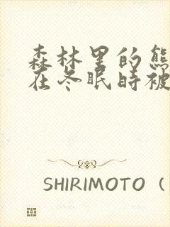 森林里的熊先生在冬眠时被疼爱了