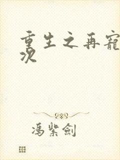 重生之再宠你一次封面