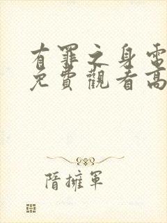 有罪之身电视剧免费观看高清在线封面