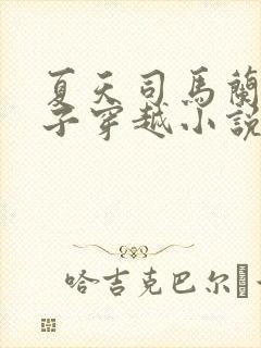 夏天司马兰九皇子穿越小说笔趣阁封面