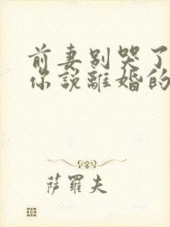 前妻别哭了,是你说离婚的封面