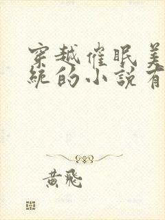 穿越催眠美妇系统的小说有哪些