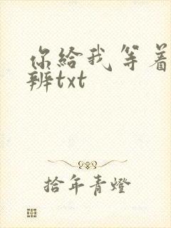 你给我等着九时辨txt封面