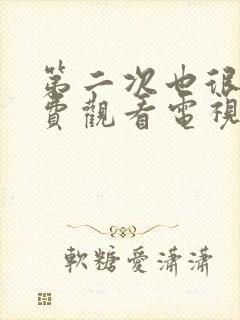 第二次也很美免费观看电视剧封面