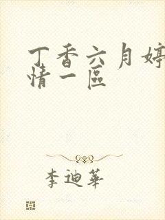 丁香六月婷婷激情一区