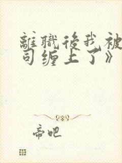 离职后我被前上司缠上了》封面