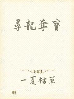 寻龙夺宝