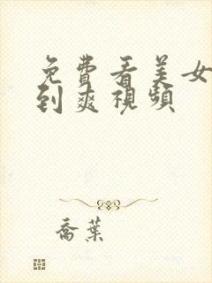 免费看美女被靠到爽视频