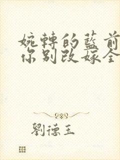 婉转的蓝前妻求你别改嫁全文免费