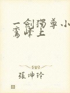 一剑独尊小说青鸾峰上