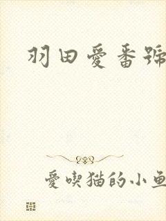 羽田爱番号大全